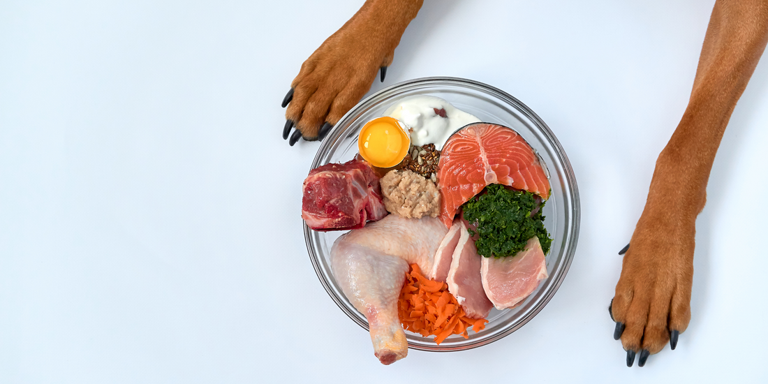 What is Raw Feeding?