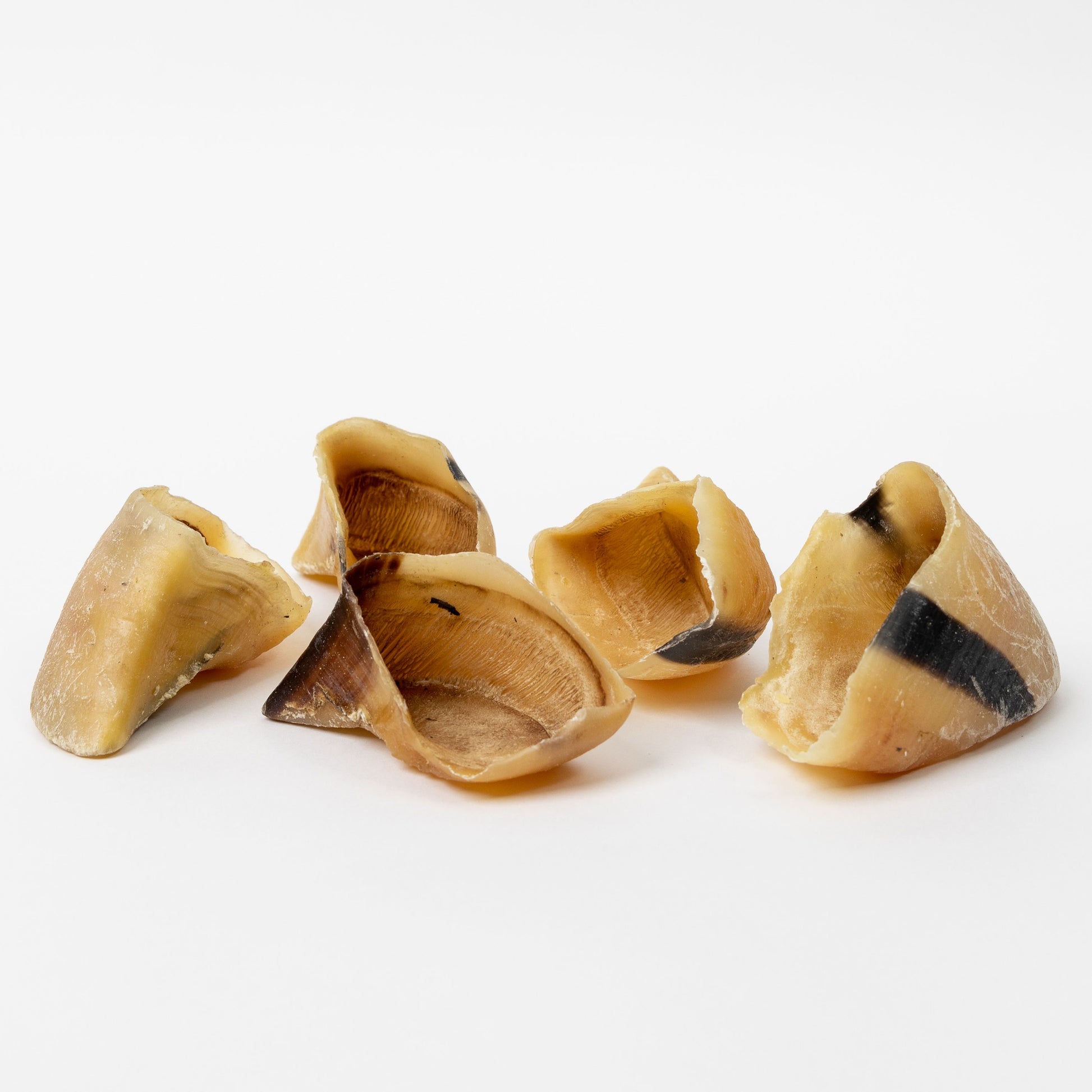 Cow-Hooves-Go-Raw-Pet-Food-NZ