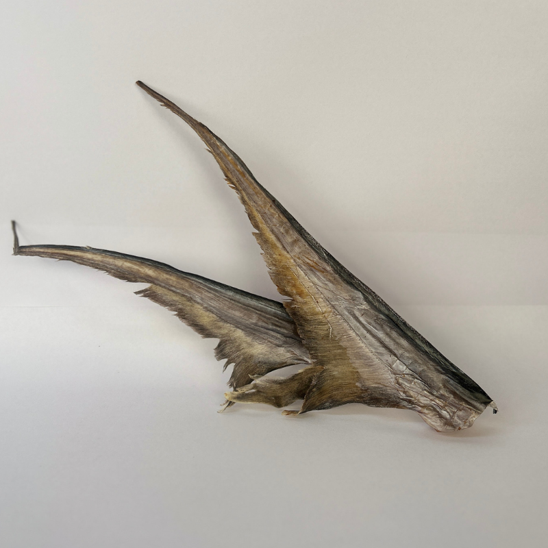 Elephant Fish Tails 250g Go Raw Pet Food NZ