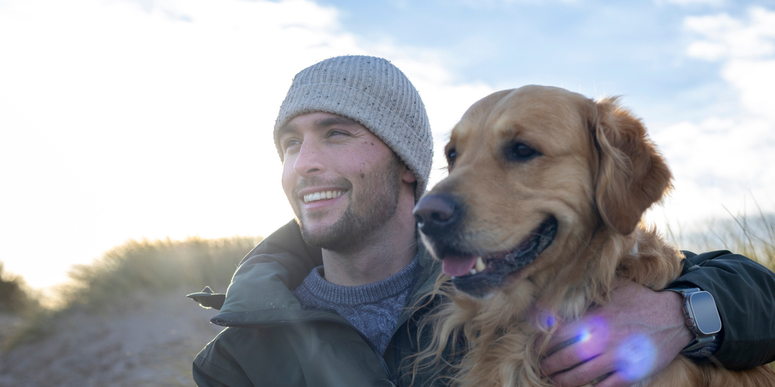 Feeding Your Dog Through Winter - What Changes?