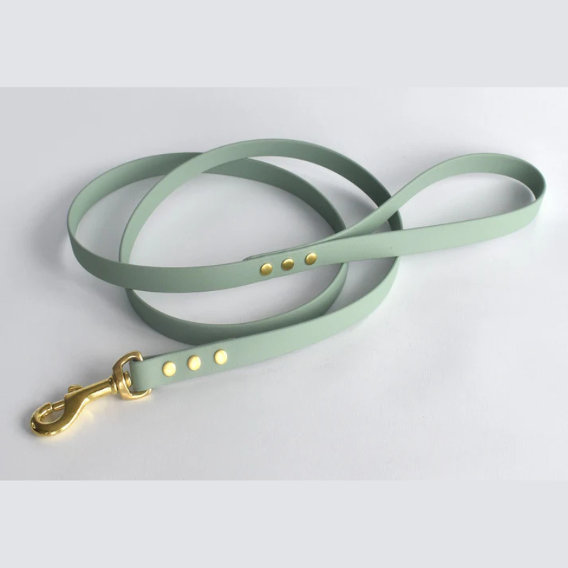 Dog LEad Pistachio - Go Raw Pet Food NZ