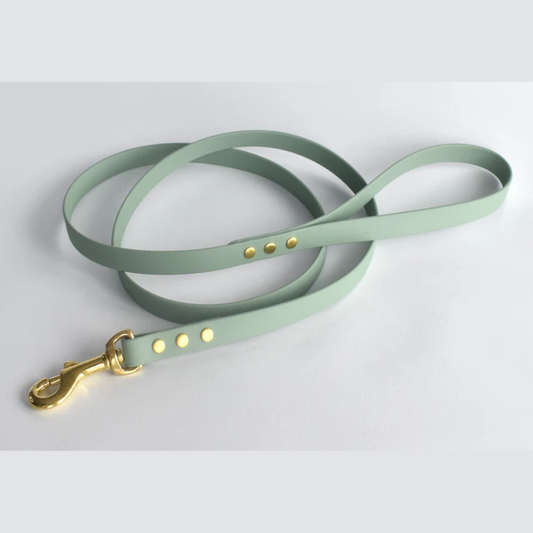 Dog LEad Pistachio - Go Raw Pet Food NZ