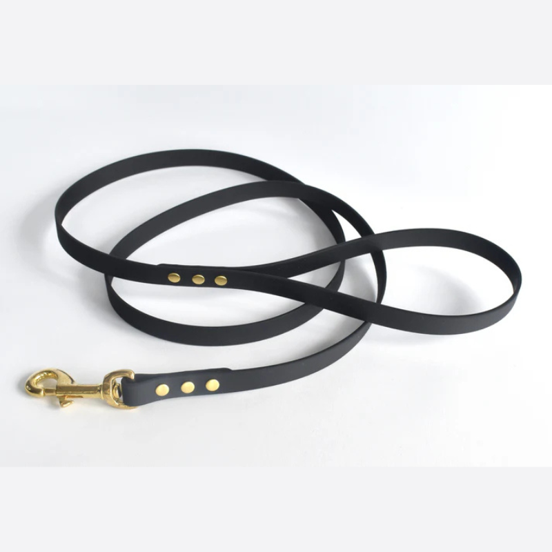 Dog Lead Ebony - Go Raw Pet Food NZ