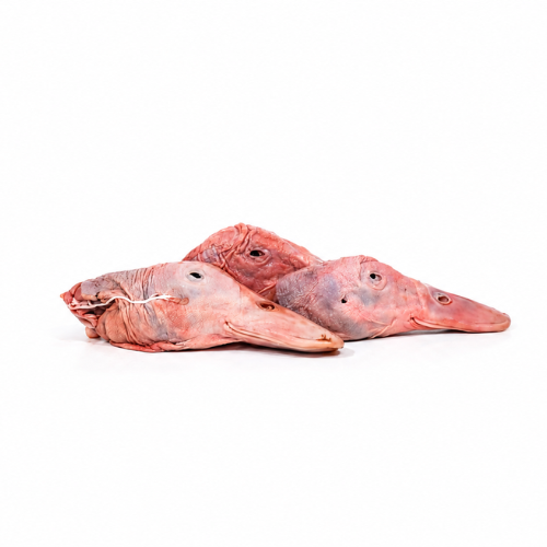 Duck Heads - Go Raw Pet Food NZ