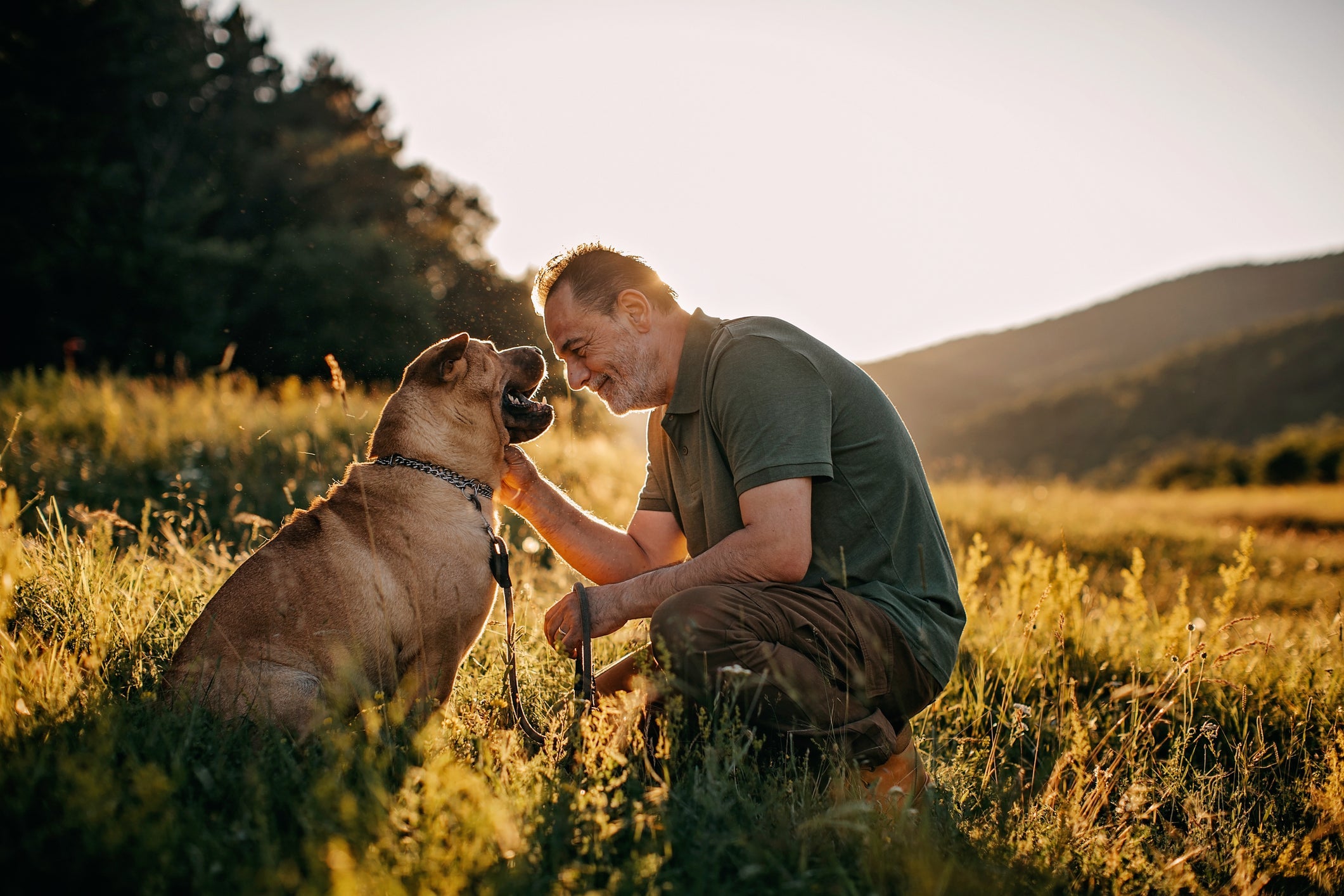 Go Raw Pet Products - Happy, Healthy Pet