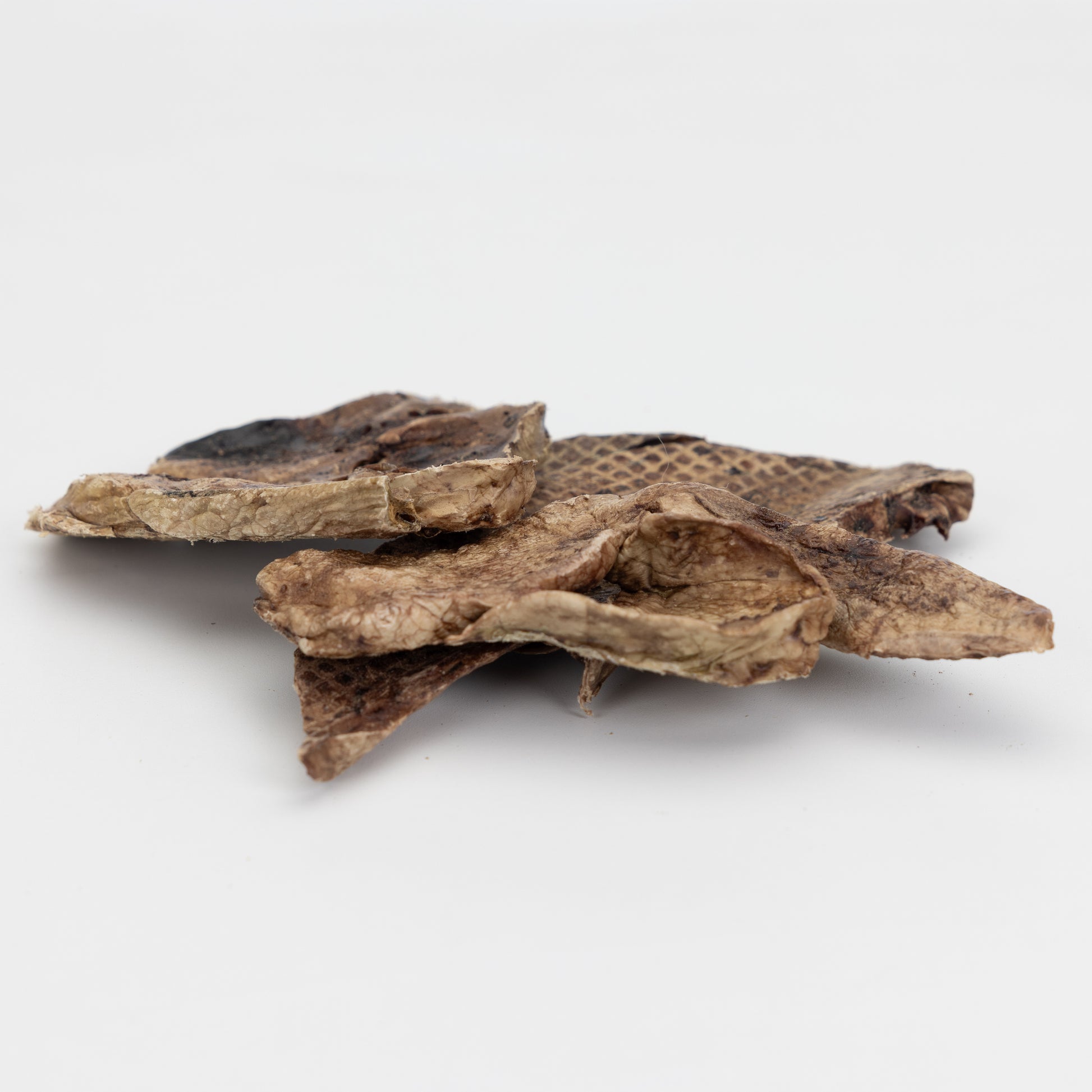 Lamb-Lung-Steaks-250g-Go-Raw-Pet-Food-NZ