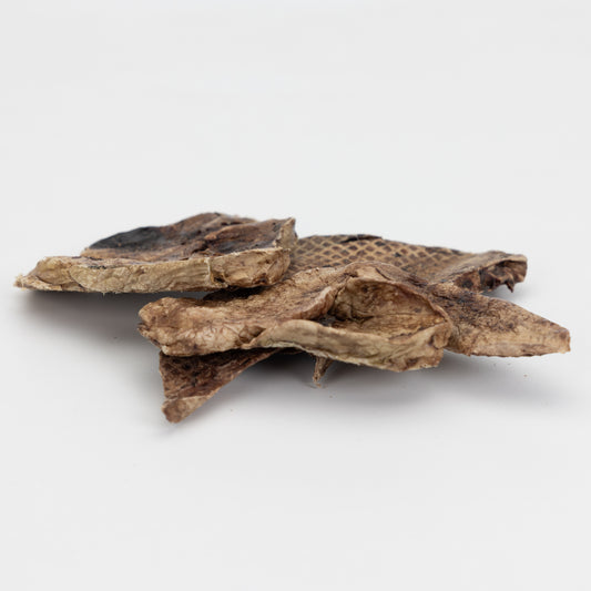 Lamb-Lung-Steaks-250g-Go-Raw-Pet-Food-NZ