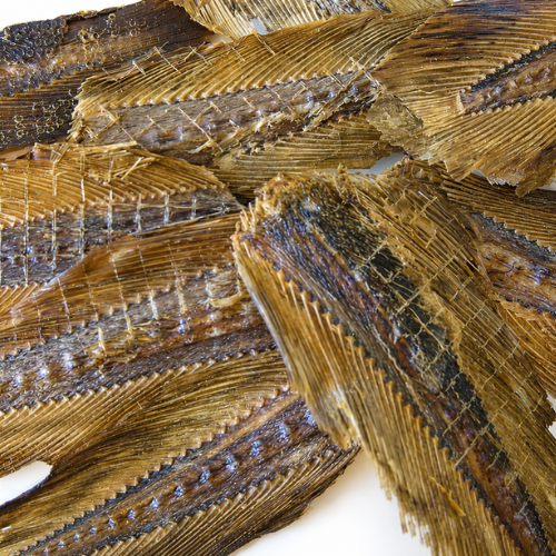 Ling Fish Tails Close Up - Go Raw Pet Food NZ