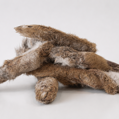 Rabbit Feet Close Up - Go Raw Pet Food NZ