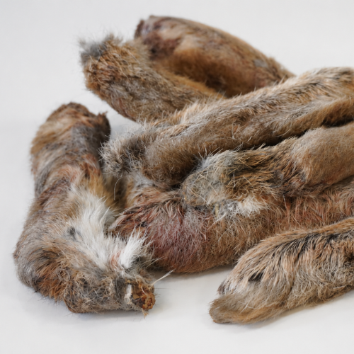 Rabbit Feet Close Up 2 - Go Raw Pet Food NZ