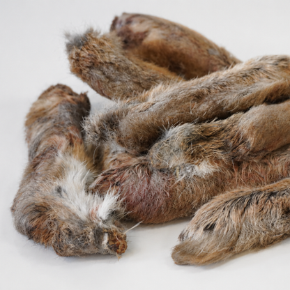Rabbit Feet Close Up 2 - Go Raw Pet Food NZ