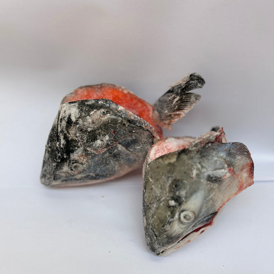 Salmon Heads 3kg - Go Raw Pet Food NZ