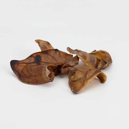 Small-Pig-Ears-Go-Raw-Pet-Food-NZ