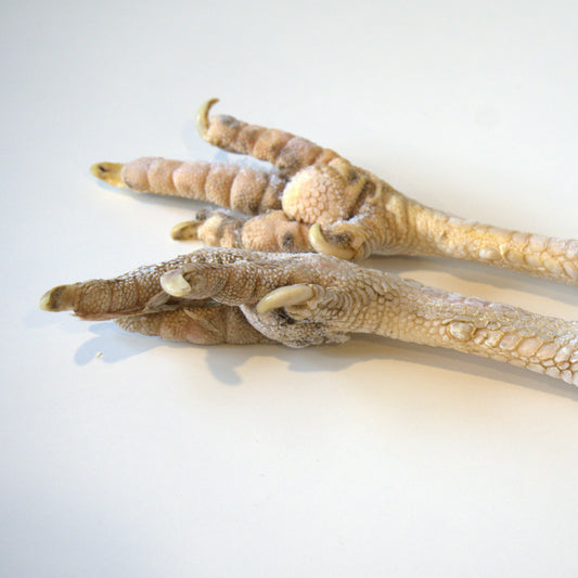Turkey Feet - Go Raw Pet Food NZ