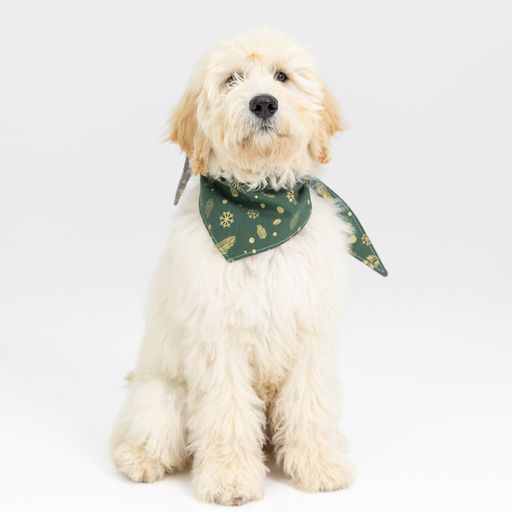 Christmas Dog Bandana - Large