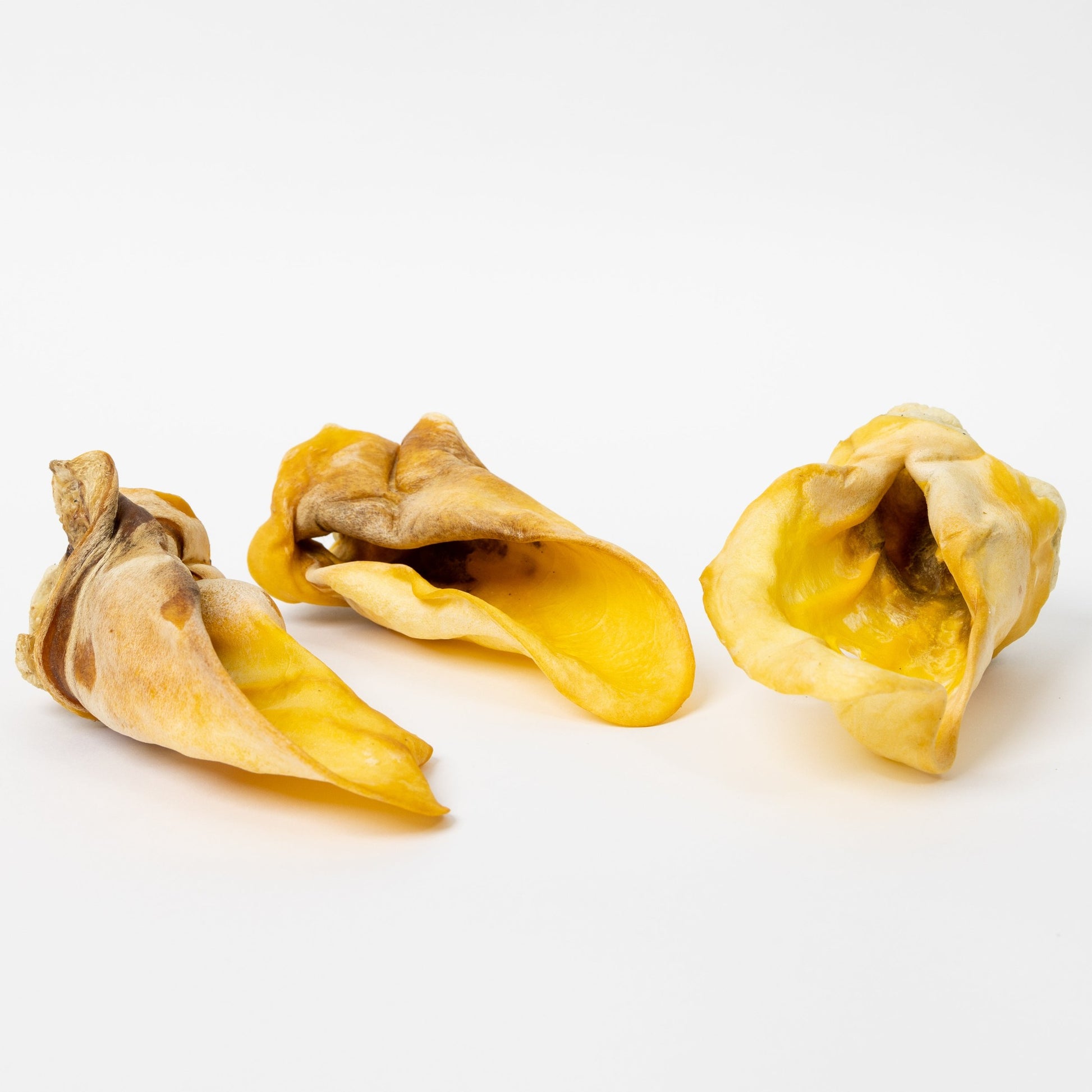 Go Raw Pet Food NZ - Dried Beef Ear