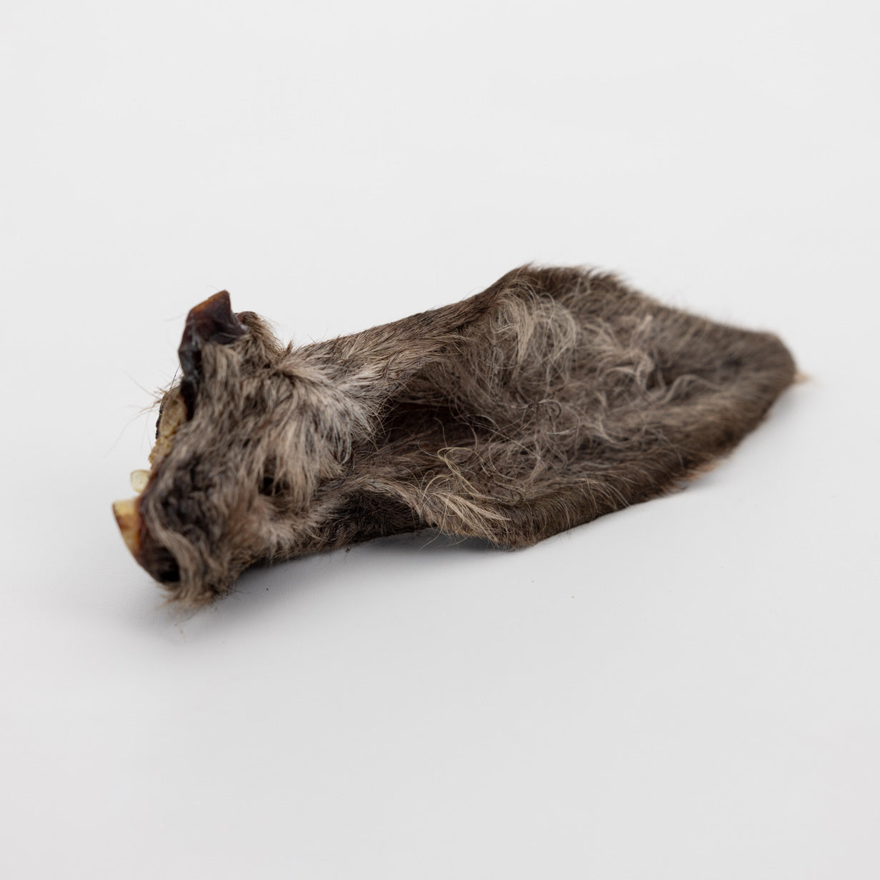 GoRawPetFood-DriedHairyDeerEar