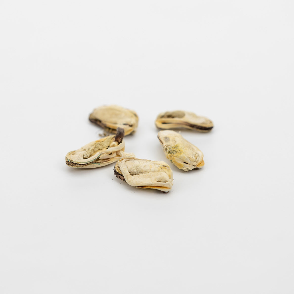 Freeze Dried Green lipped Mussel 200g Go Raw Pet Products