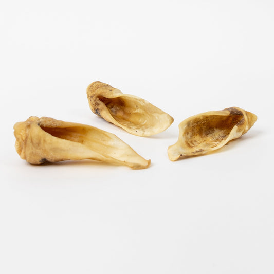 Go Raw Pet Products - Dried Deer Ear