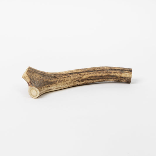 Go Raw Pet Products - Dried Deer Antler