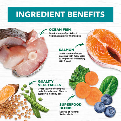 Go Raw Pet Products - Ivory Coat Dog Salmon & Ocean Fish