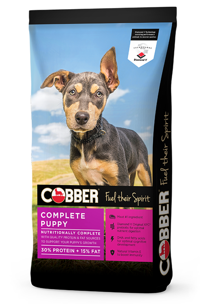 Go Raw Pet Products - Cobber Puppy Dog Biscuits 8kg