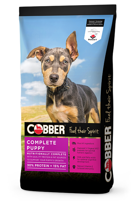 Go Raw Pet Products - Cobber Puppy Dog Biscuits 8kg