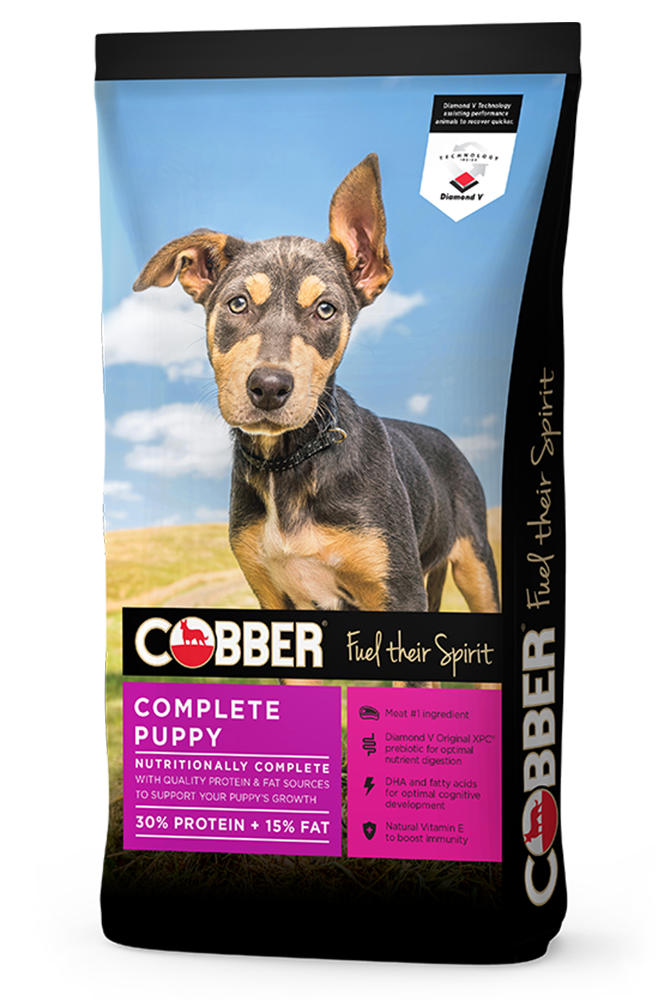 Go Raw Pet Products - Cobber Puppy Dry Food