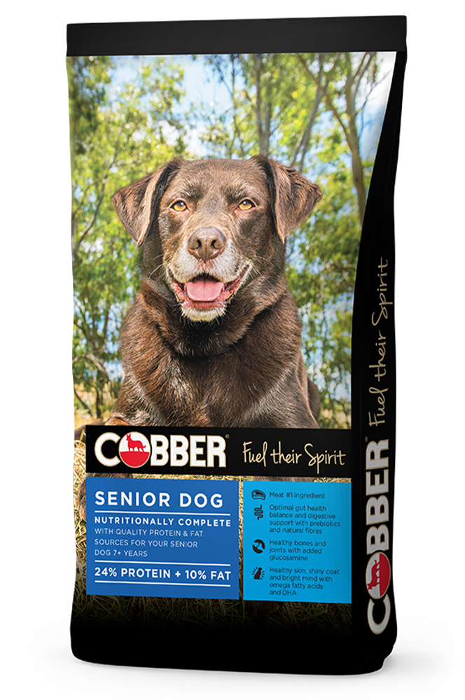 Go Raw Pet Products - Cobber Senior Dog Biscuits