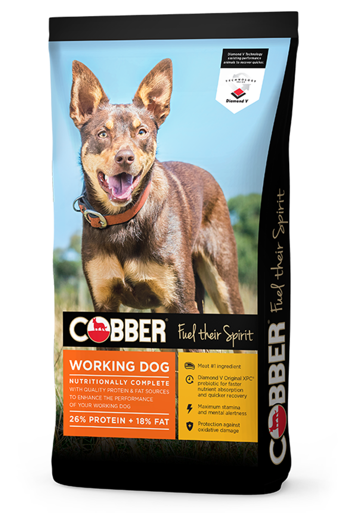 Go Raw Pet Products - Cobber Working Dog Biscuits